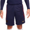 Nike Paris Saint-Germain Training 2023-2024 Shorts