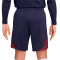 Pantalón corto Paris Saint-Germain Training 2023-2024 Blackened Blue-Red-Gold Suede