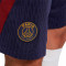 Pantalón corto Paris Saint-Germain Training 2023-2024 Blackened Blue-Red-Gold Suede