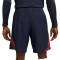 Kratke hlače Nike Paris Saint-Germain Training 2023-2024