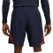 Pantaloncini Nike Paris Saint-Germain Training 2023-2024