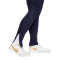 Nike Women Paris Saint-Germain Training 2023-2024 Trousers