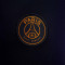 Nike Women Paris Saint-Germain Training 2023-2024 Trousers