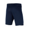 Nike Kinder Paris Saint-Germain Erstes Kit 2023-2024  Shorts