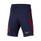 Nike Kids Paris Saint-Germain Training 2023-2024 Shorts
