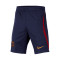 Pantalón corto Nike Paris Saint-Germain Training 2023-2024 Niño