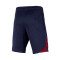 Nike Paris Saint-Germain Training 2023-2024 voor Kinderen Shorts