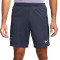 Nike Tottenham Training 2023-2024 Shorts