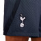 Nike Tottenham Training 2023-2024 Shorts