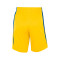 Nike Team Basketball Shorts