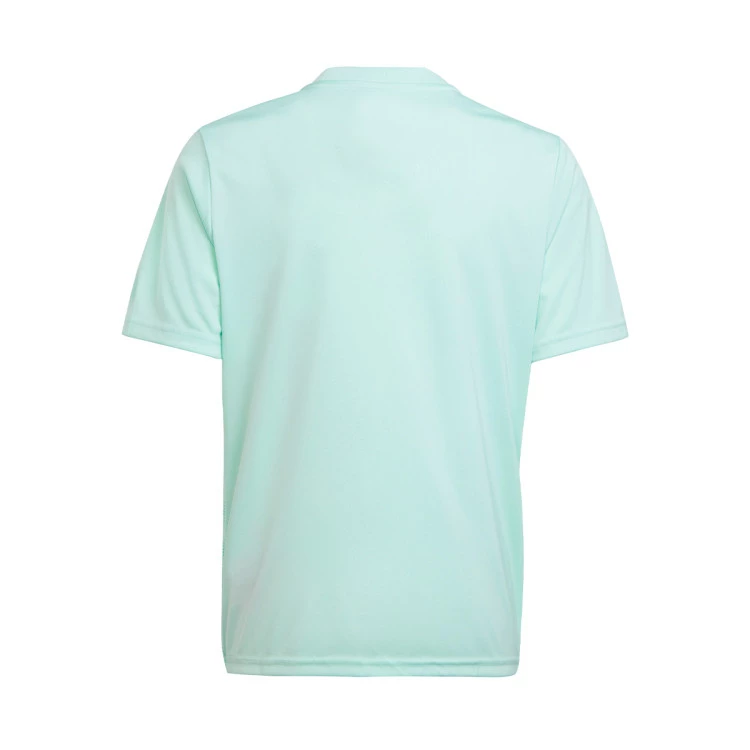 camiseta-adidas-team-icon-23-nino-clear-mint-1