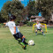 Porteria Youth Soccer Net
