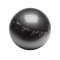 Fitball Trainer Ball Sport Performance