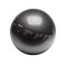 Fitball Trainer Ball Sport Leistung