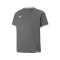 Maillot Puma Enfant teamLIGA m/c 