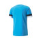 Puma teamRISE m/c Trikot