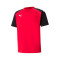 Dres Puma teamPACER m/c