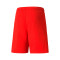 Short Puma teamLIGA