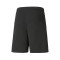Short Puma teamLIGA