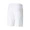 Short Puma teamLIGA