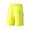 Short Puma Team LIGA