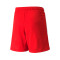Short Puma teamLIGA Niño