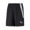 Puma Kids teamLIGA Shorts