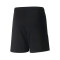 Puma Kids teamLIGA Shorts