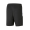Pantalón corto Puma teamLIGA Training