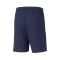 Short Puma teamLIGA Training
