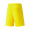 Short Puma teamRISE