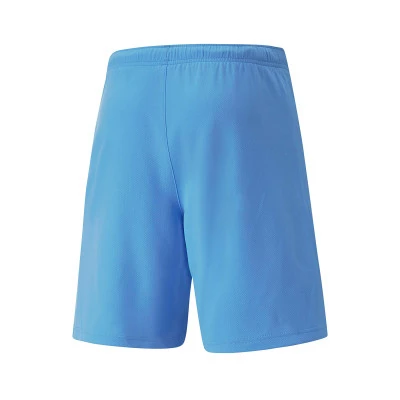 teamRISE Shorts