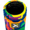 Foam Roller The Grid 1.0 Rainbow