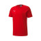 Maillot Puma teamGOAL