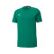 Jersey Puma teamGOAL