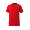 Camiseta Puma teamGOAL Niño