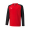 Sudadera Puma teamLIGA Niño