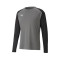 Puma teamPACER m/l Portero T-Shirt