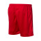 Soka Soul Shorts