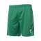 Soka Soul 23 Shorts