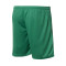 Soka Soul Shorts