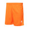 Soka Soul Shorts