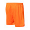 Soka Soul Shorts