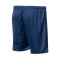 Soka Soul 23 Shorts