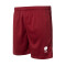 Soka Soul 23 Shorts