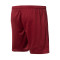 Soka Soul 23 Shorts