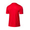 Camiseta Soka Soul 23 m/c