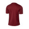 Camiseta Soka Soul 23 m/c