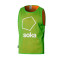 Chasuble Soka Summit