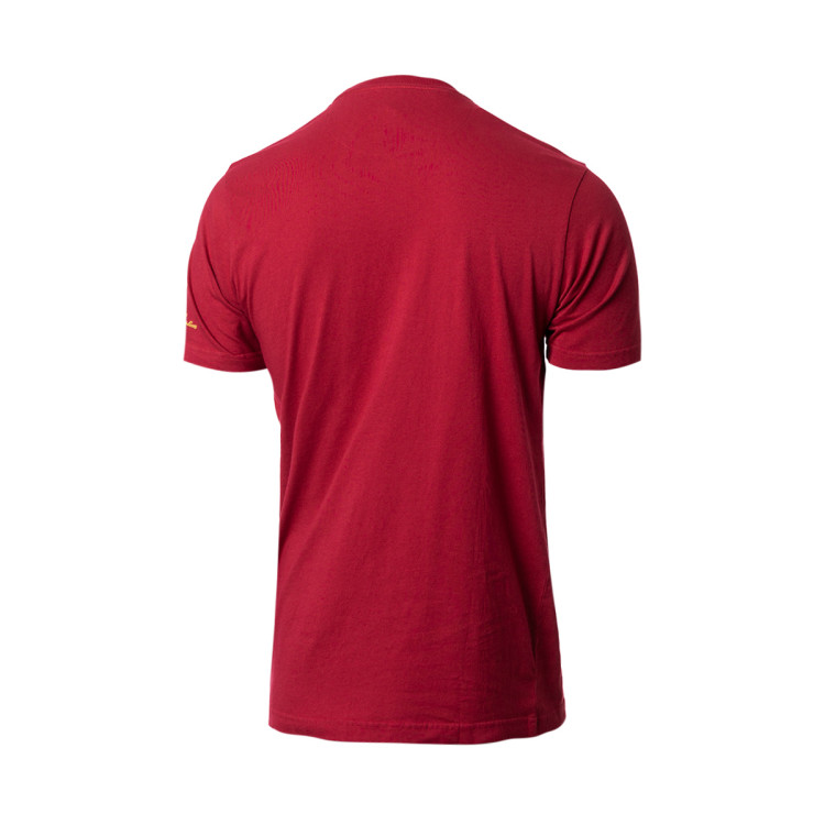 camiseta-copa-coleccion-as-roma-edicion-limitada-rojo-1